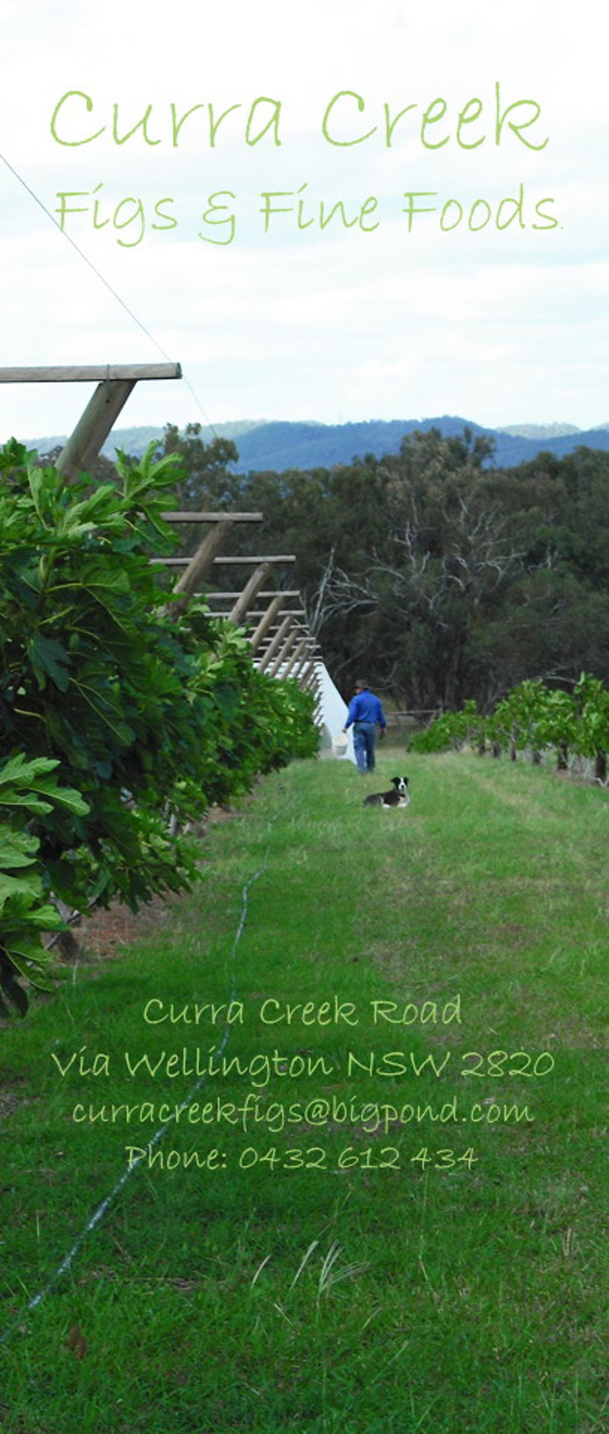 Orchard netting process commencement...