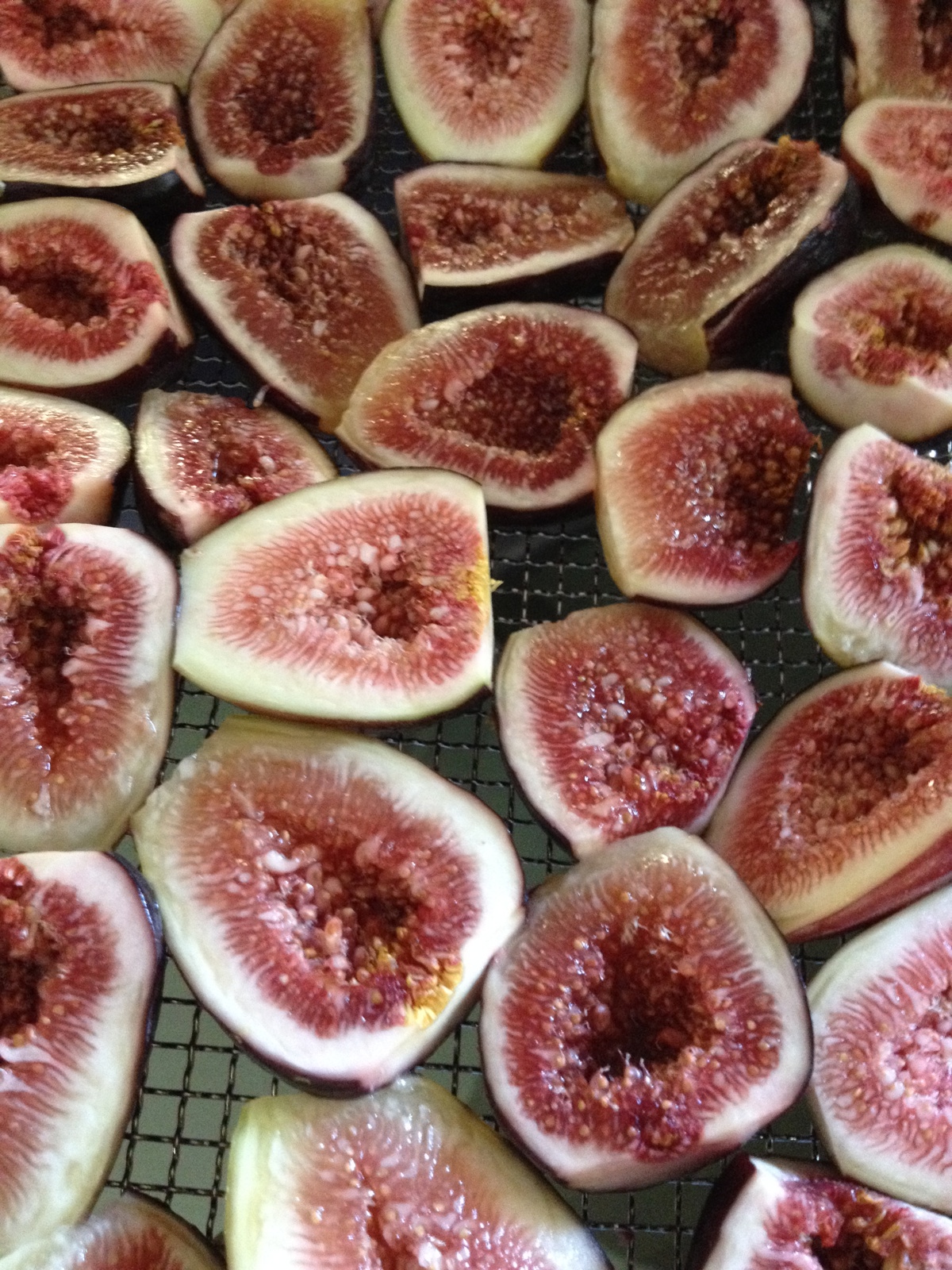 Fresh figs from our orchard